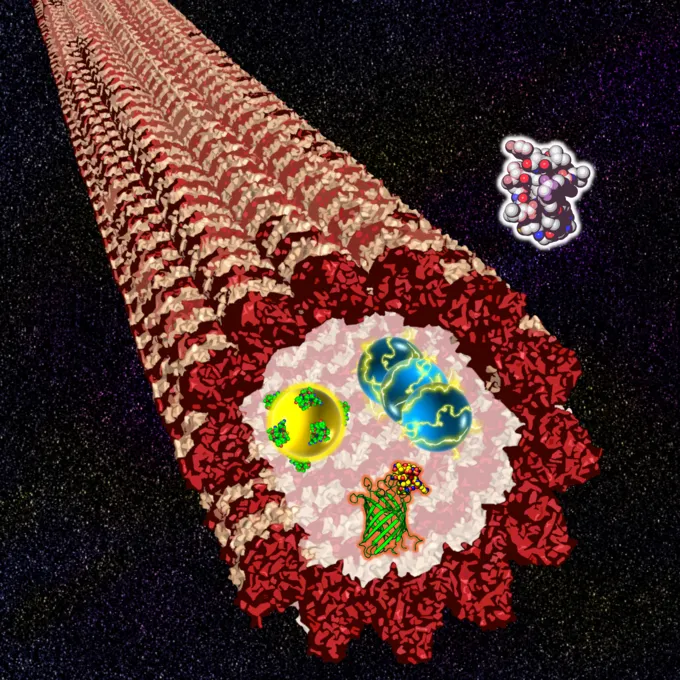 Introduction of Nanomaterials into Microtubules